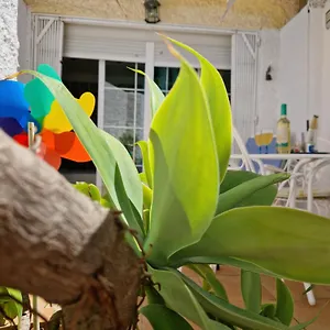 San Antonio - Beach, Pool And Terrace Apartment